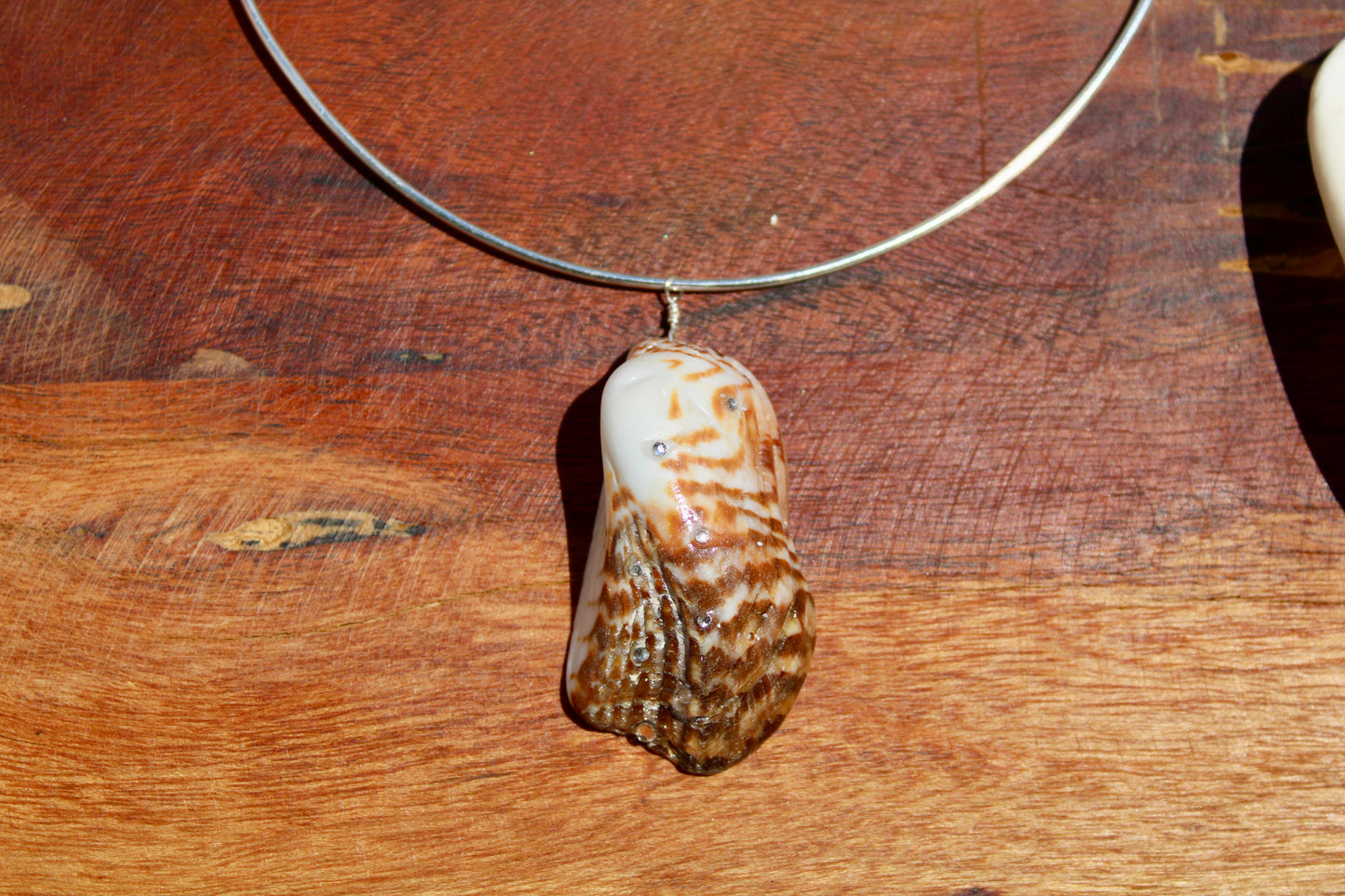 Sea shell wire choker 011