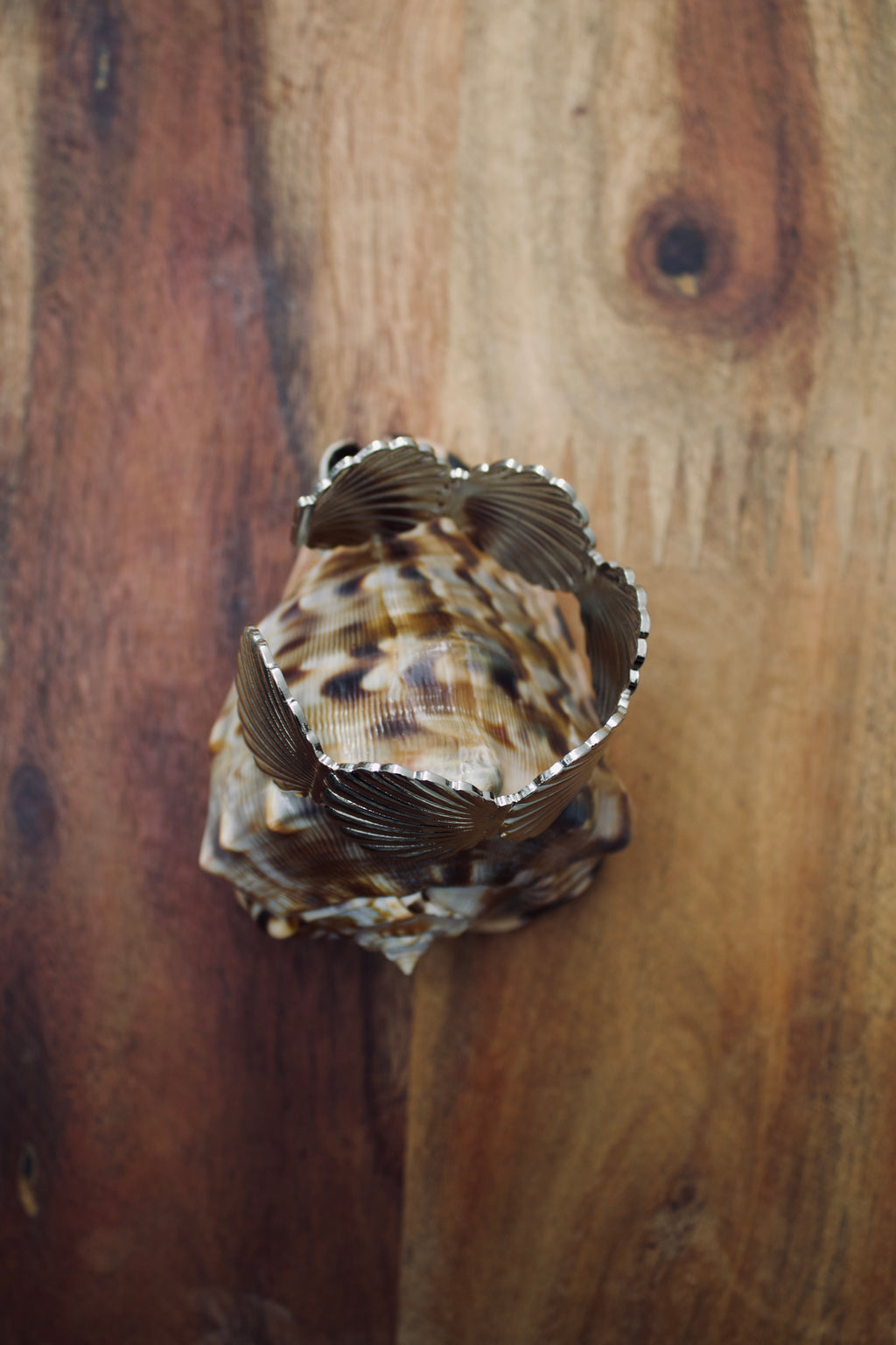 Shell ll