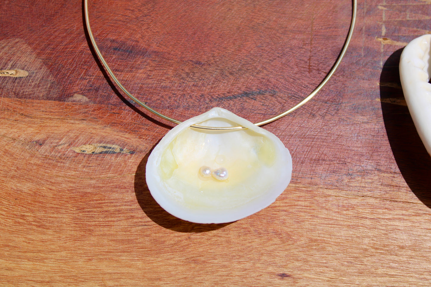 Sea shell wire choker 004