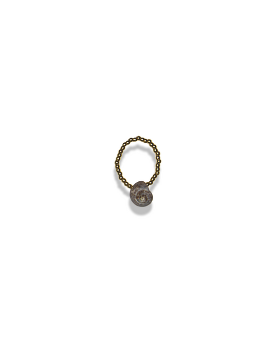 Sea shell ring 014