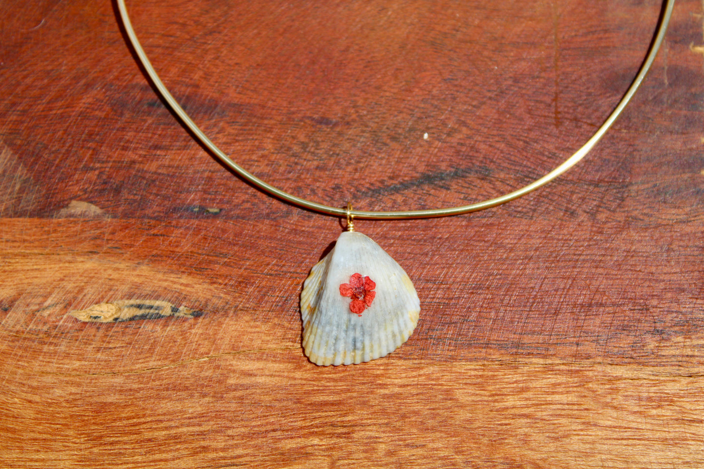 Sea shell wire choker 008