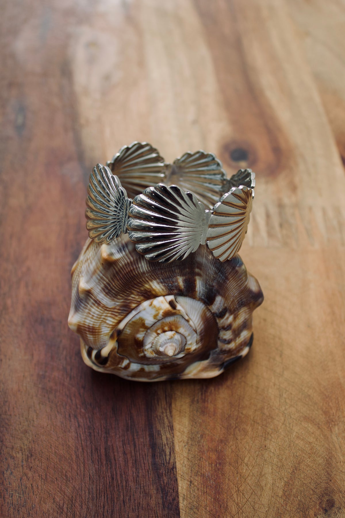 Shell II Bracelet