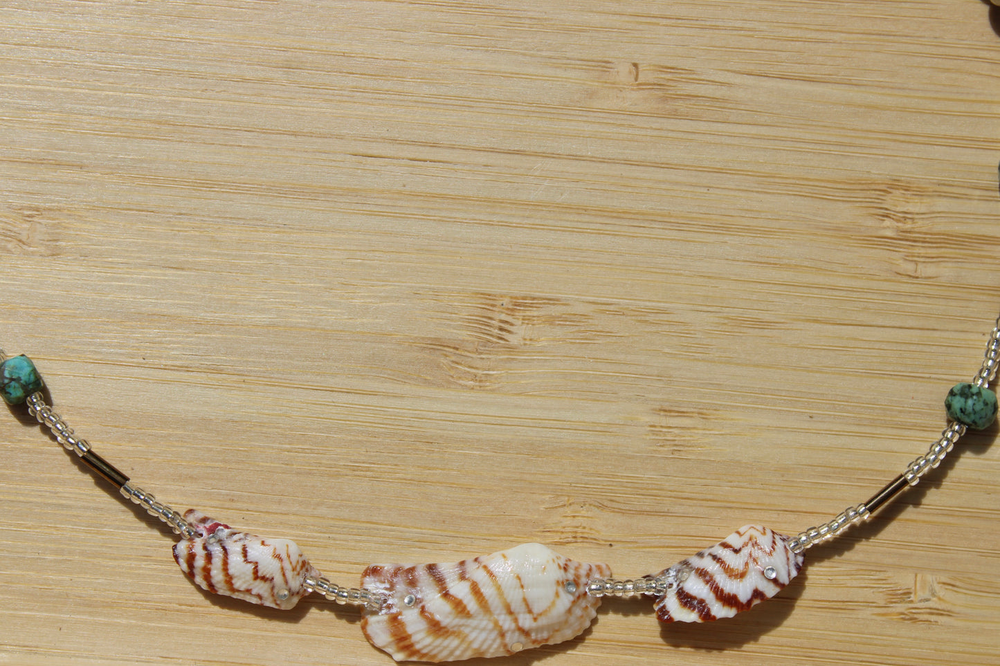 Sea shell body adornment 013