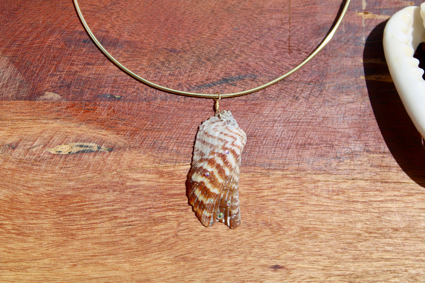 Sea shell wire choker 003