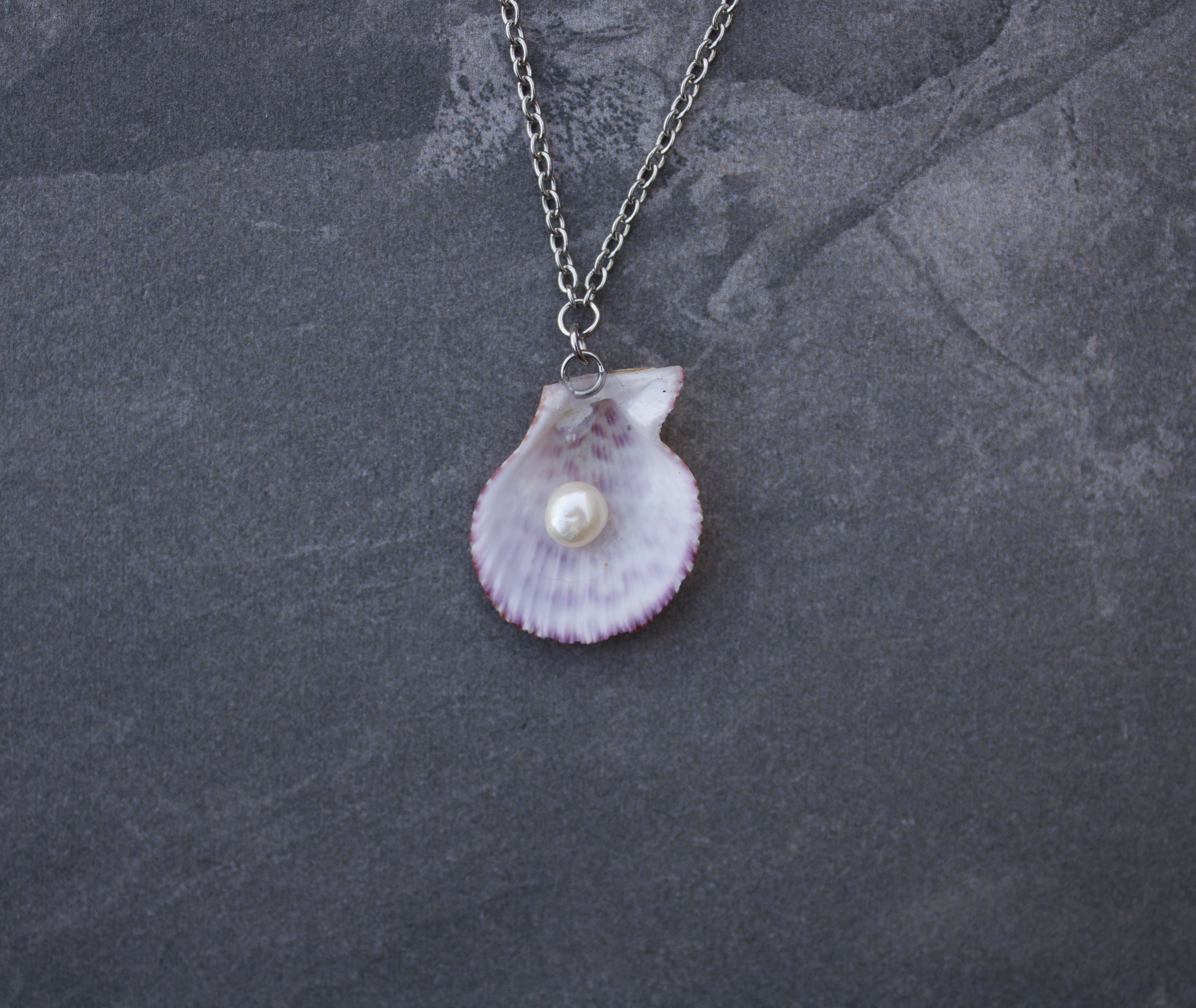 Sea shell Adornment